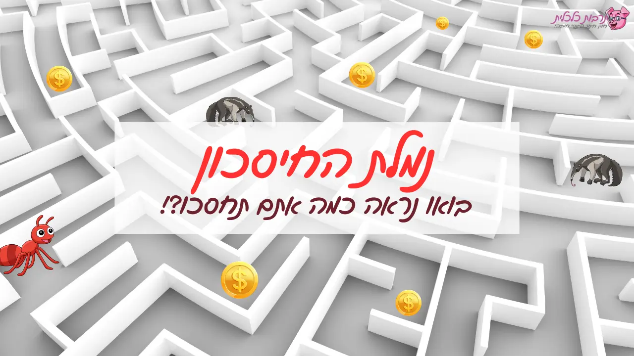 משחק נמלת החיסכון